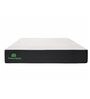 Woody Reversible PU & HD Foam 4 Inch Queen Size Mattress