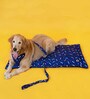 Woof- Large Blue Fabric Dog Mat