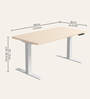 Workout Metal Height Adjustable Desk in Highland Finish