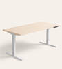 Workout Metal Height Adjustable Desk in Highland Finish