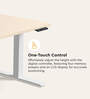 Workout Metal Height Adjustable Desk in Highland Finish