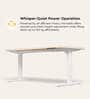Workout Metal Height Adjustable Desk in Highland Finish