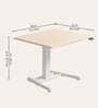 Workout Metal Height Adjustable Desk in Highland Finish