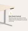 Workout Metal Height Adjustable Desk in Highland Finish