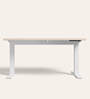 Workout Metal Height Adjustable Desk in Highland Finish
