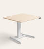 Workout Metal Height Adjustable Desk in Highland Finish