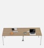 Scriba Workstation In Persian Walnut Finish