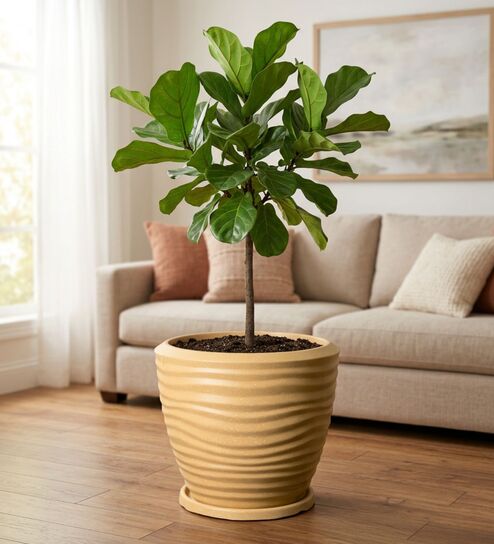 WPC Beige 15 Inch German Polymer Round Plant Container With Saucer