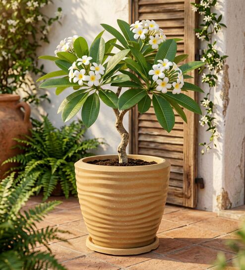 WPC Beige 17 Inch German Polymer Round Plant Container With Saucer