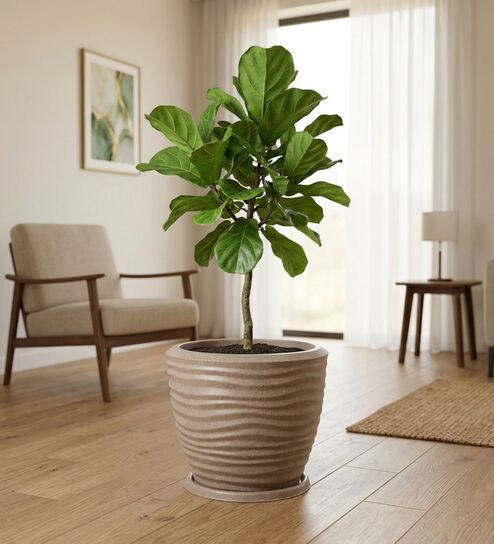 WPC Choco Brown 15 Inch German Polymer Round Plant Container With Saucer