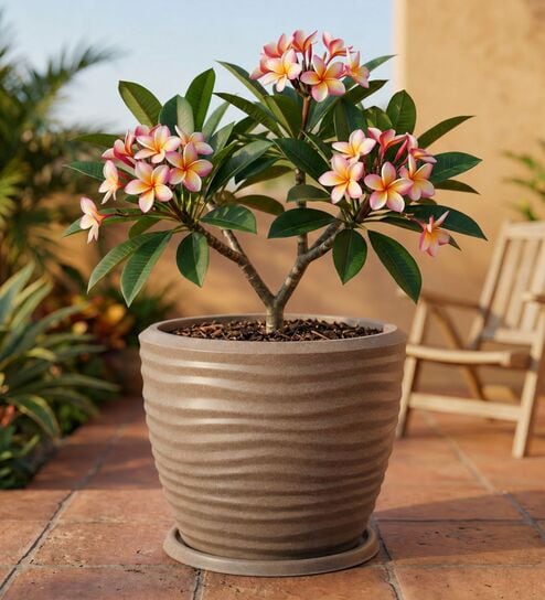 WPC Choco Brown 17 Inch German Polymer Round Plant Container With Saucer