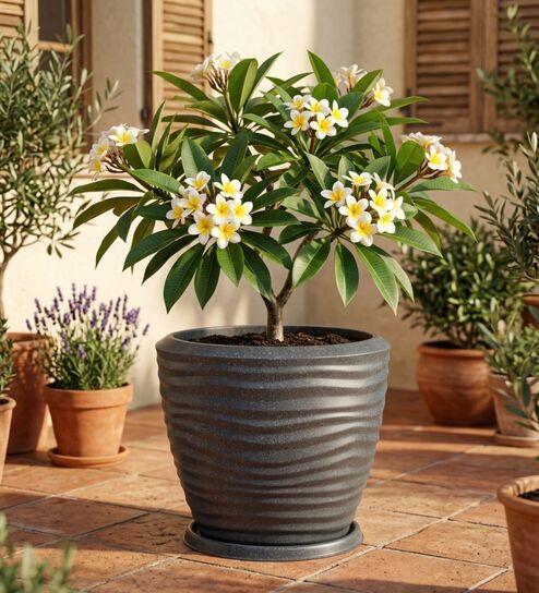 WPC Grey 17 Inch German Polymer Round Plant Container With Saucer