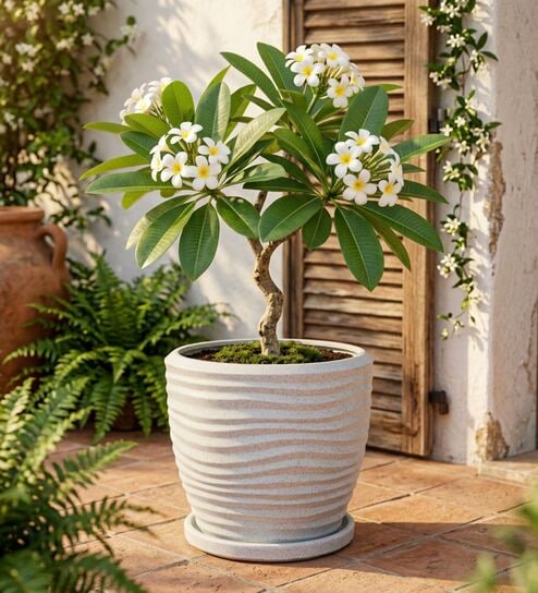 WPC Marble White 17 Inch German Polymer Round Plant Container With Saucer