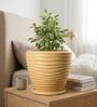 WPC Beige 12 Inch German Polymer Round Plant Container With Saucer