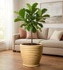 WPC Beige 15 Inch German Polymer Round Plant Container With Saucer