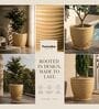 WPC Beige 17 Inch German Polymer Round Plant Container With Saucer