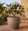 WPC Choco Brown 17 Inch German Polymer Round Plant Container With Saucer