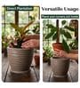 WPC Choco Brown 17 Inch German Polymer Round Plant Container With Saucer