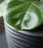 WPC Grey 12 Inch German Polymer Round Plant Container With Saucer