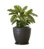 WPC Grey 12 Inch German Polymer Round Plant Container With Saucer
