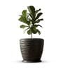 WPC Grey 15 Inch German Polymer Round Plant Container With Saucer