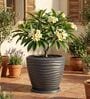 WPC Grey 17 Inch German Polymer Round Plant Container With Saucer