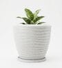 WPC Marble White 12 Inch German Polymer Round Plant Container With Saucer