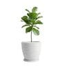 WPC Marble White 15 Inch German Polymer Round Plant Container With Saucer