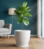 WPC Marble White 15 Inch German Polymer Round Plant Container With Saucer