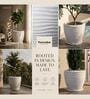 WPC Marble White 17 Inch German Polymer Round Plant Container With Saucer
