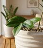 WPC Marble White 17 Inch German Polymer Round Plant Container With Saucer