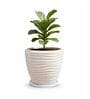 WPC Marble White 17 Inch German Polymer Round Plant Container With Saucer
