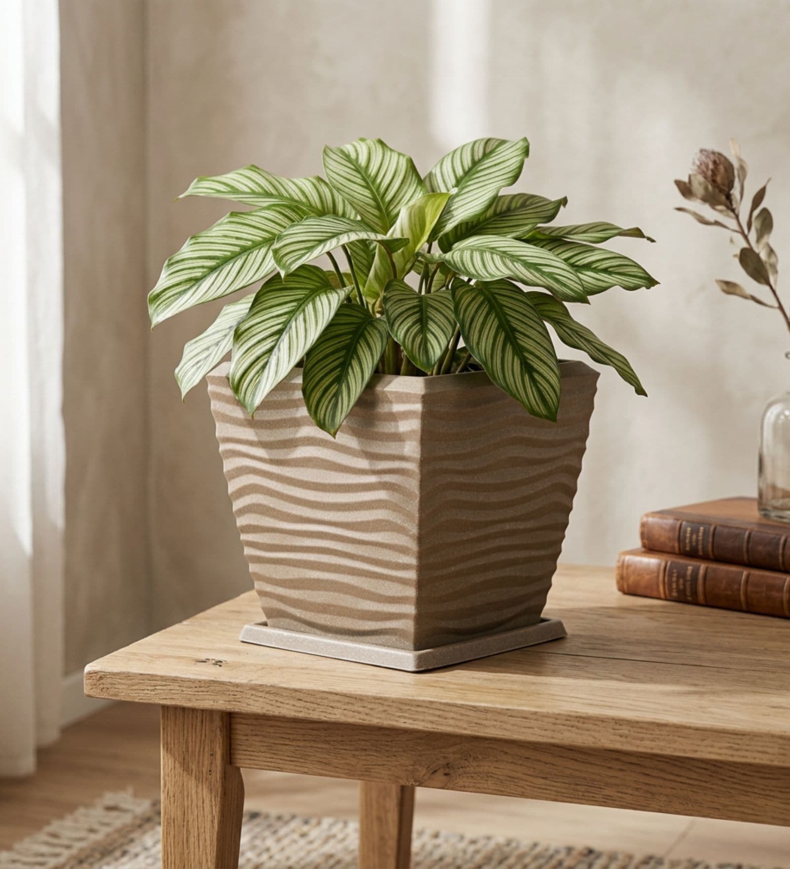 WTK Choco Brown 12 Inch German Polymer Square Plant Container With Saucer