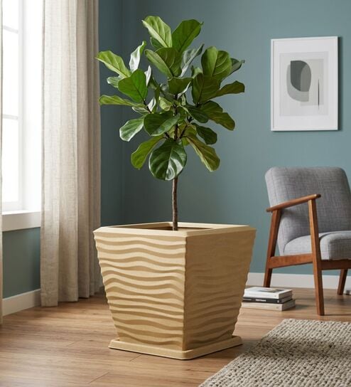 WTK Beige 15 Inch German Polymer Square Plant Container With Saucer