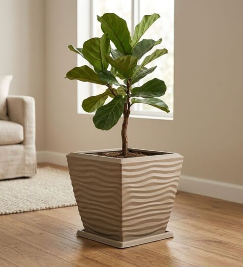 WTK Choco Brown 15 Inch German Polymer Square Plant Container With Saucer