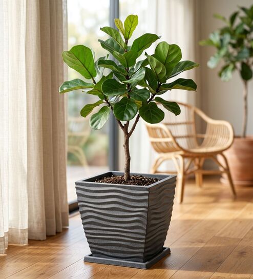 WTK Grey 15 Inch German Polymer Square Plant Container With Saucer