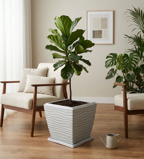 WTK Marble White 15 Inch German Polymer Square Plant Container With Saucer
