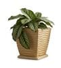 WTK Beige 12 Inch German Polymer Square Plant Container With Saucer