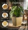 WTK Beige 12 Inch German Polymer Square Plant Container With Saucer