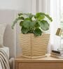 WTK Beige 12 Inch German Polymer Square Plant Container With Saucer