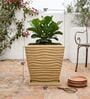 WTK Beige 15 Inch German Polymer Square Plant Container With Saucer