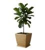 WTK Beige 15 Inch German Polymer Square Plant Container With Saucer
