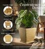 WTK Beige 15 Inch German Polymer Square Plant Container With Saucer