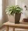 WTK Choco Brown 12 Inch German Polymer Square Plant Container With Saucer