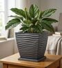 WTK Grey 12 Inch German Polymer Square Plant Container With Saucer
