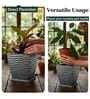 WTK Grey 15 Inch German Polymer Square Plant Container With Saucer