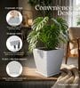 WTK Marble White 15 Inch German Polymer Square Plant Container With Saucer