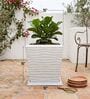 WTK Marble White 15 Inch German Polymer Square Plant Container With Saucer