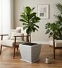 WTK Marble White 15 Inch German Polymer Square Plant Container With Saucer