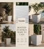 WTK Marble White 15 Inch German Polymer Square Plant Container With Saucer